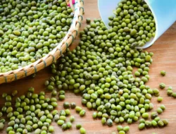 Ini Manfaat Konsumsi Kacang Hijau di Pagi Hari