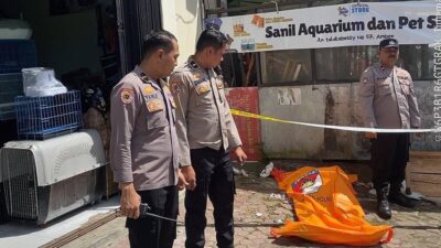 Pria Tews Itu Seorang Tunawisma