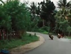Sirkuit tak Safety,  Pembalap AMR Kritis