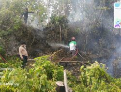 Kebakaran Hutan  di Ambon Capai  6 Hektare